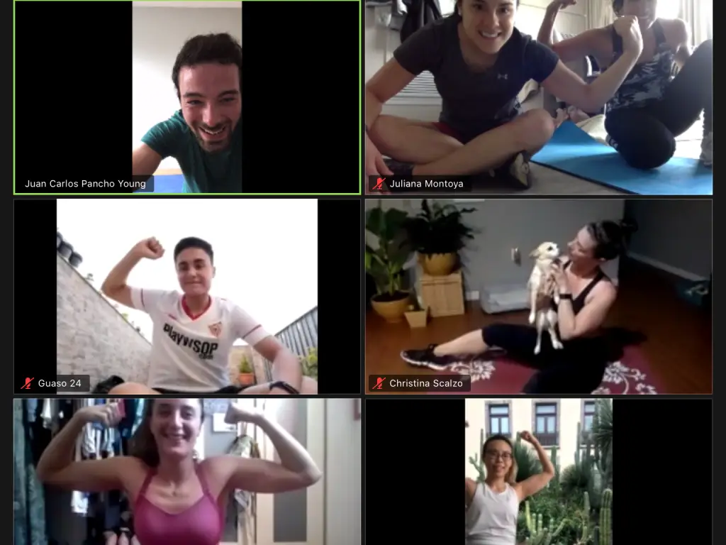 seguimiento y entrenamiento online